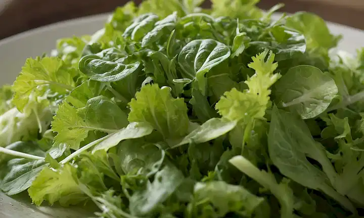 hojas verdes visbrant, fronds delicadas, cabezas de lechuga crujientes, espirales curly endive, racimos de rucola pimienta, frescas y rociadas, dispuestas en un entorno natural con iluminación suave, tonos terrenales, sombras suaves